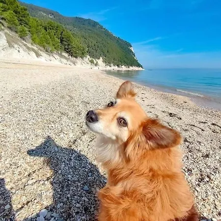 Appartamento Numana Holiday Numana